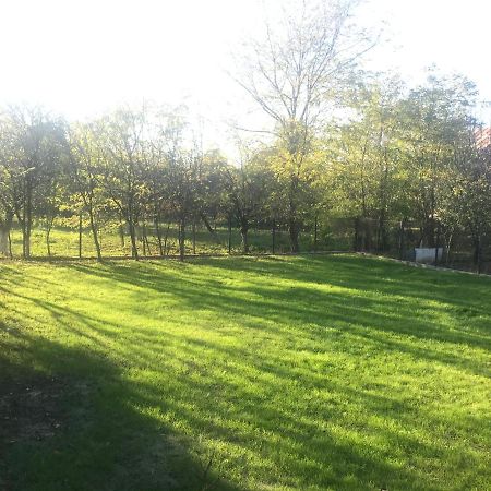Green Nest Băneşti Extérieur photo