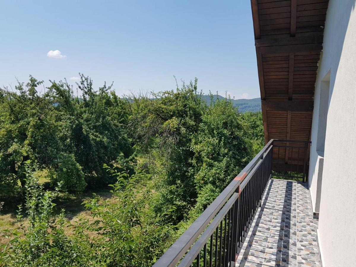 Green Nest Băneşti Extérieur photo